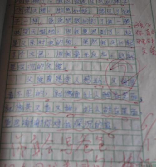 他是我的父亲（他用自己的方式表达着对我无私的爱）