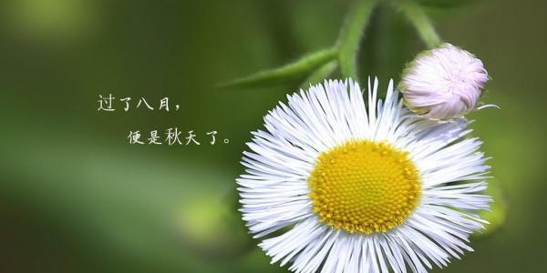 八月，相遇与启程（唯美语录）