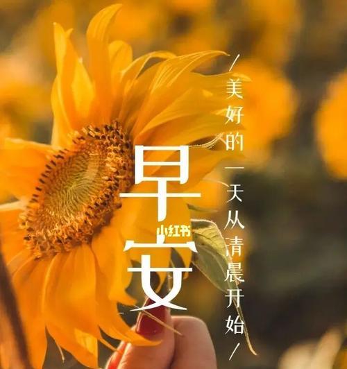 清晨的美好（以早安心情美好简短好句为主题的短句）