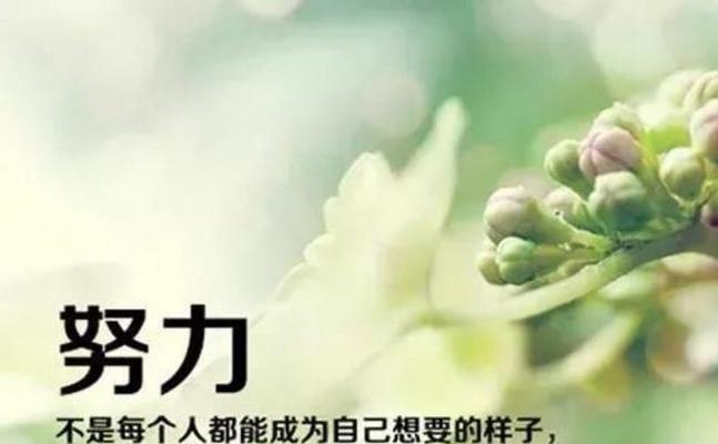 名言格言助你成就梦想（名言格言助你成就梦想）