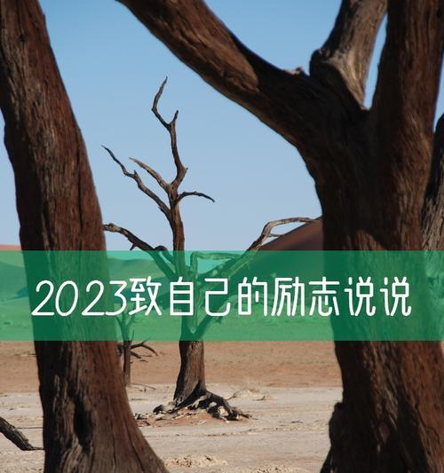 2023年最励志哲理句子有哪些？如何用它们激励自己？