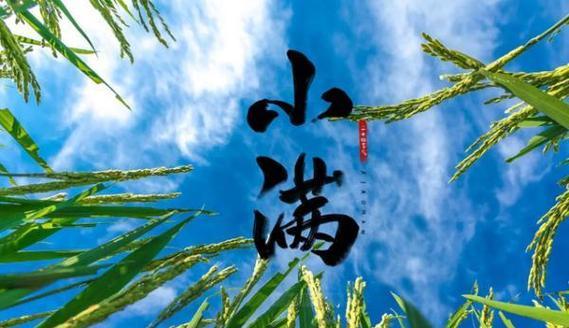 2023年小满祝福语有哪些？95条精选祝福语分享！