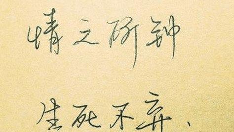 如何在日常生活中发现对人生感悟的好句好段？
