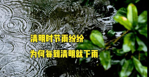 《细雨润清明，古韵今绘》