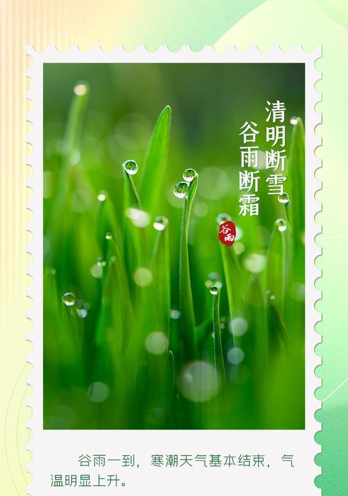 《清明谷雨，岁月悠长》