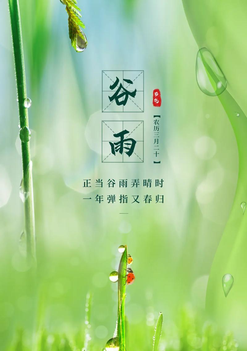 有关快乐的谷雨节金句的句子怎么写（谷雨时节之喜悦）