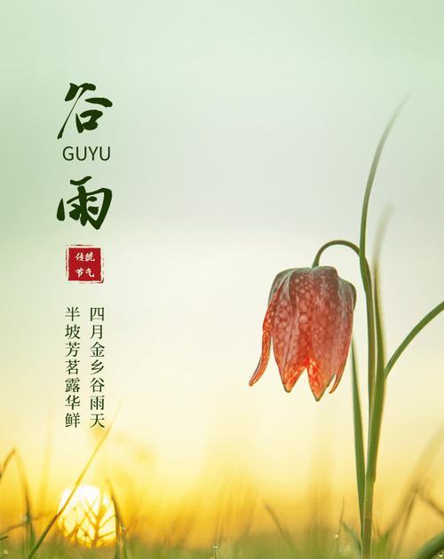 谷雨节气有哪些变化？（《谷雨润物细无声》）