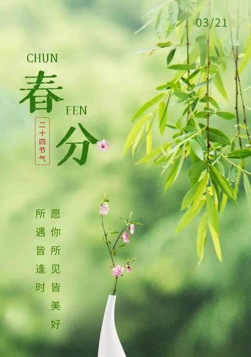 我眼中的春景怎么写（《春分之绘：二十四节气中的诗画交响》）