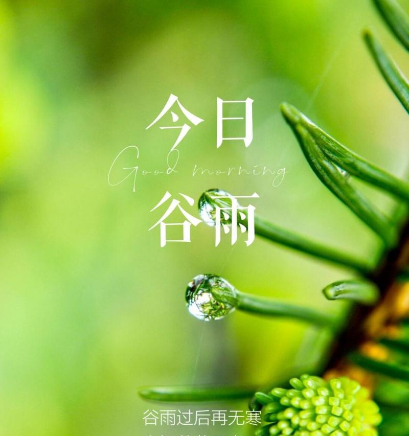 谷雨的清晨说说好句有哪些？（谷雨晨曦：细雨润物，古韵悠悠）