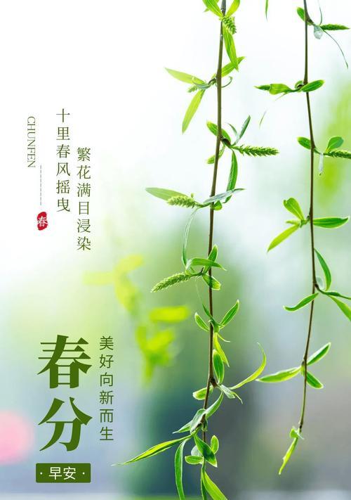 春分时节有哪些名言警句？（春分细语：古韵新裁）