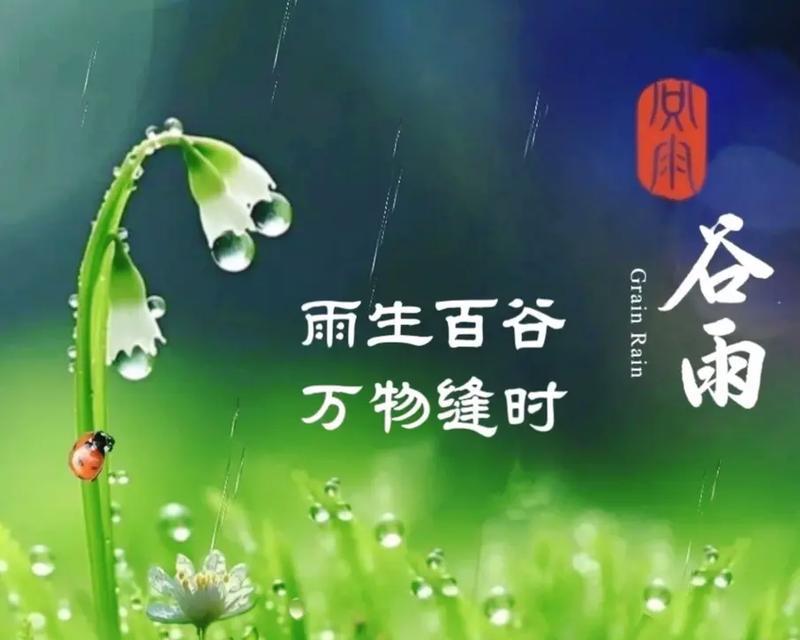 谷雨时节如何摘茶叶？（《谷雨摘茶：一叶知春寒，千载古风长》）