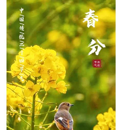 春分时节有哪些金句好句？（春分时节，万物生辉）