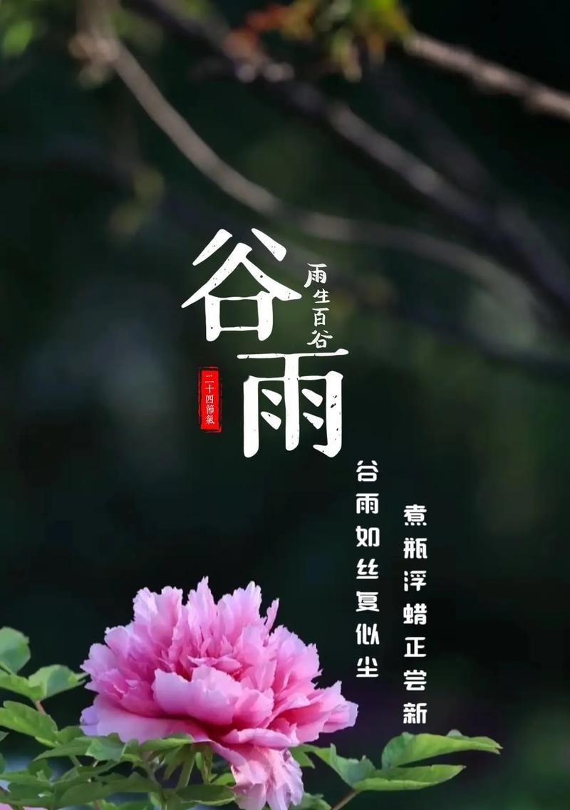 乡村的谷雨语录好句有哪些？（《谷雨轻拂）