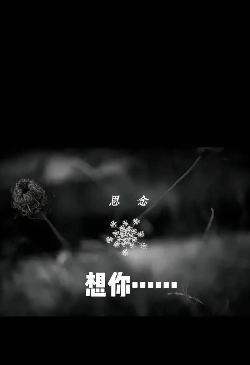 清明节如何表达对爷爷的思念？（《清明忆祖：缅怀之思如春草》）
