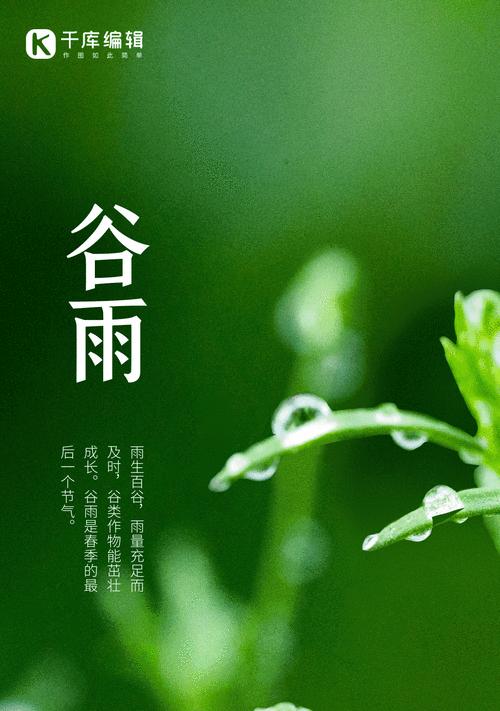 谷雨季节的句子（《谷雨润物细无声，春意盎然话千篇》）