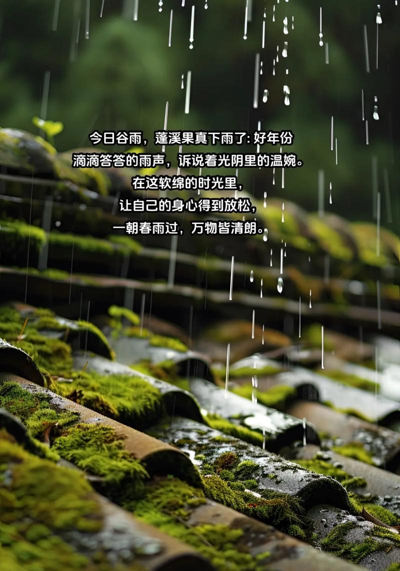 今日谷雨抒情语录好句有哪些？（谷雨润物细无声）