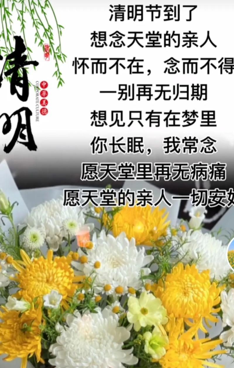 有关清明追思亲人的意义短句的句子怎么写（《追思长存：清明时节的缅怀情愫》）