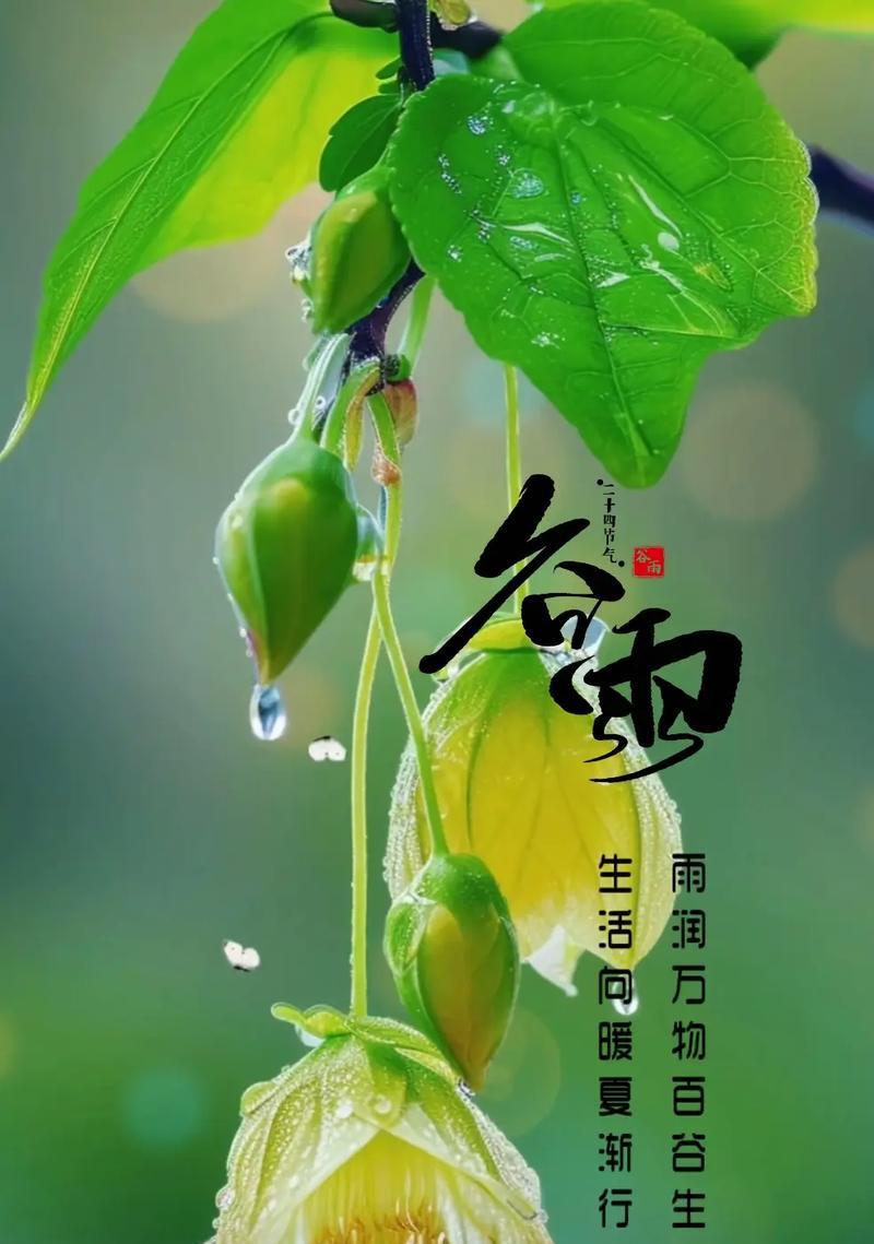 谷雨时节如何记录美好生活？（细雨润无声，谷雨时分赏春光）