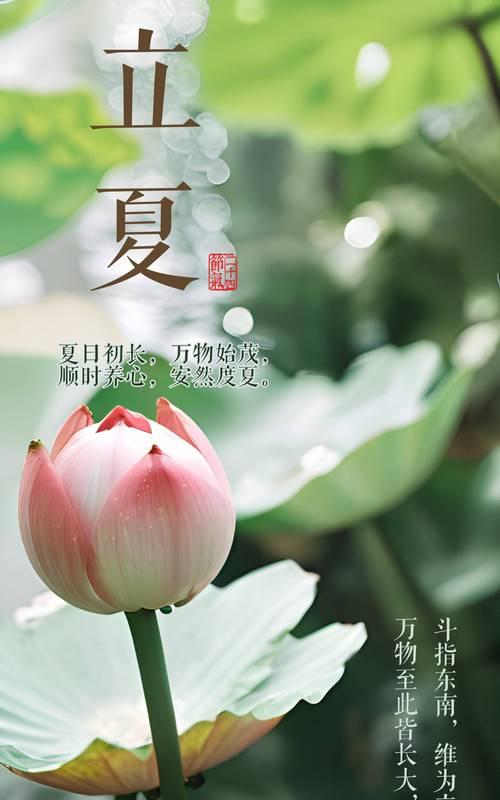 立春形容春暖花开的诗句（《立夏花开，春意盎然》）