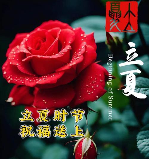 立夏祝福语怎么发？（《立夏日暖风来，古韵悠悠传佳讯》）