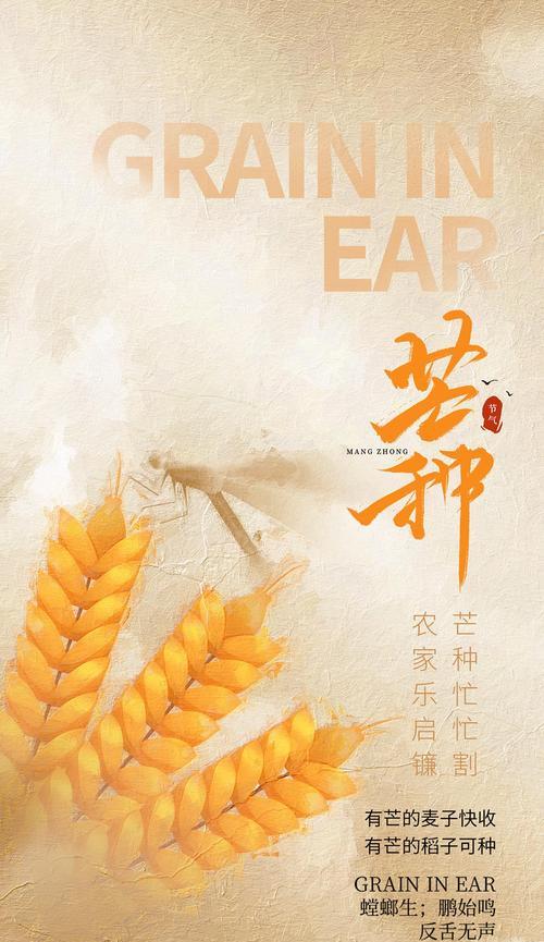 关于芒种节气的介绍（芒种时节的诗意生活）
