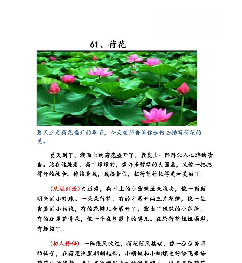 写出描写夏天荷叶的诗句怎么写（《夏荷翠影，立夏风雅》）