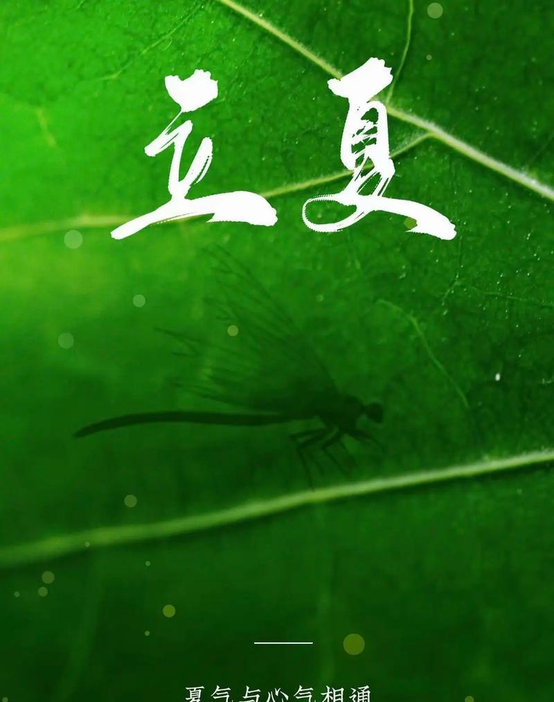 立夏晚安文案怎么写？（立夏晚风，幽梦添香）