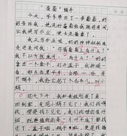 以夏至未至的写法怎么写作文为话题的作文600字（《盛夏的约定》）