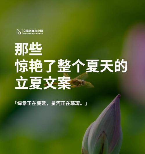 立夏文案爱情甜蜜语录好句有哪些？（《立夏佳期，情愫如诗》）