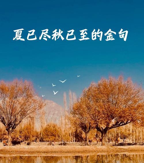 夏至的风景如何用简短句子描绘？（《夏至雅韵：古风幽境之描摹》）