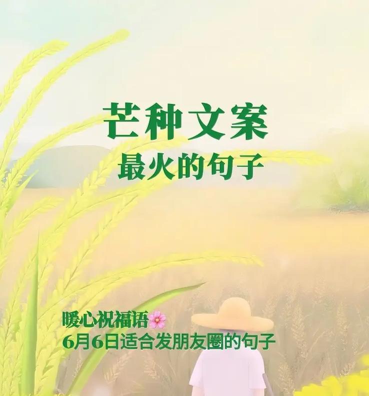 关于芒种的诗句(12条诗句)（《芒种时节：古风物语》）