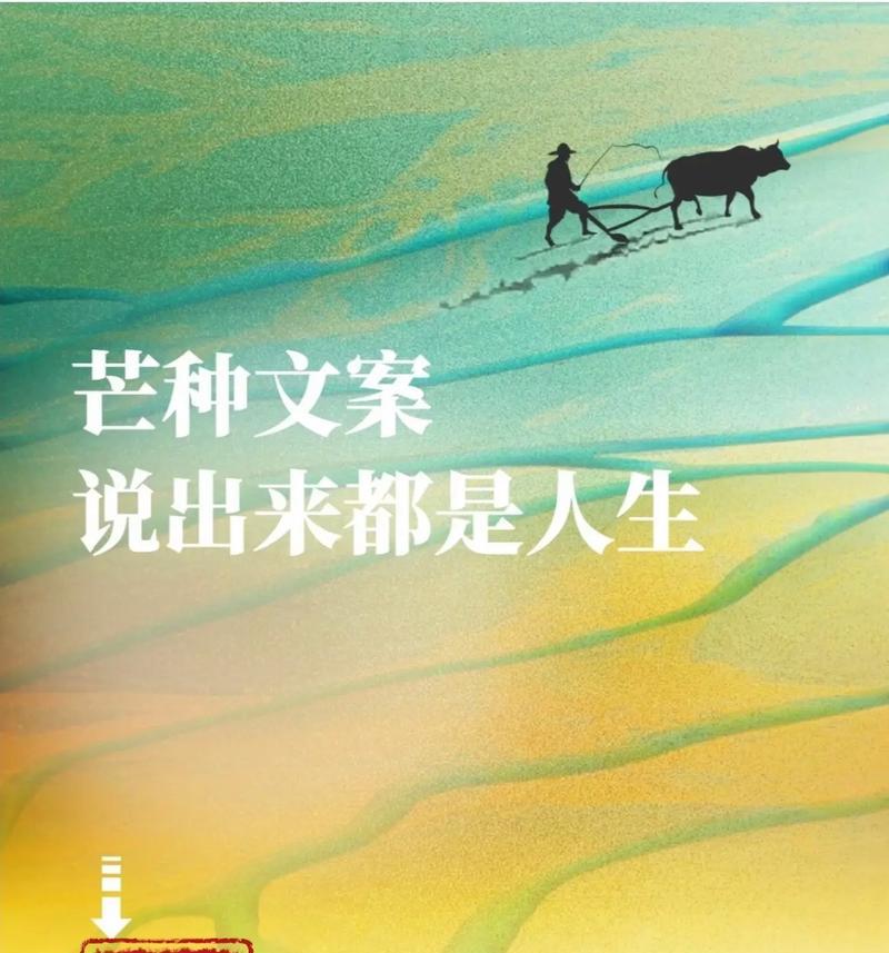 芒种的唯美句子（芒种时节，诗意盎然）