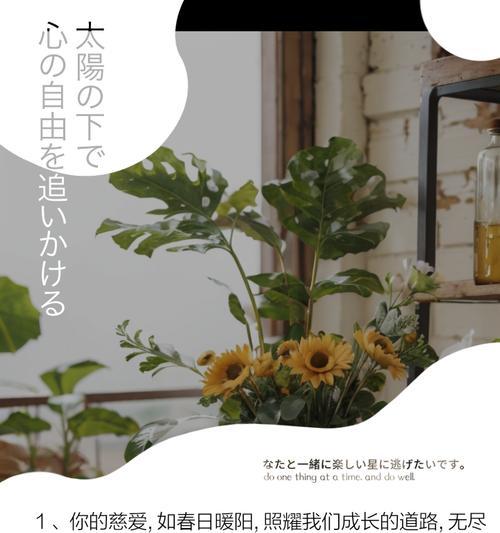 母亲节 盆栽（《翠影摇风：母亲节绿植寄情》）