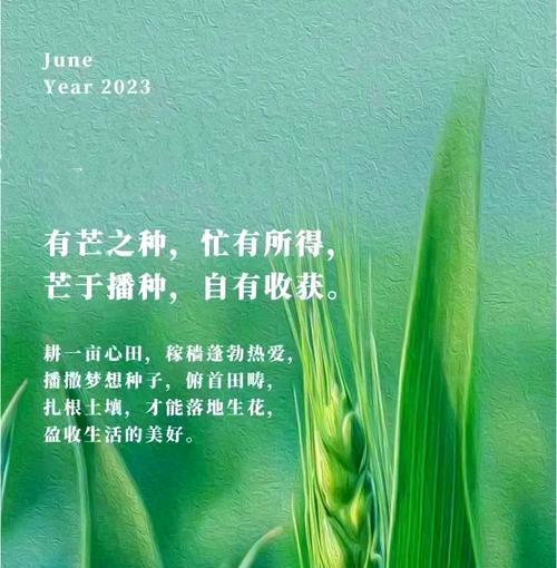 芒种芒种连收带种收获希望（《芒种时节，秋实之约》）