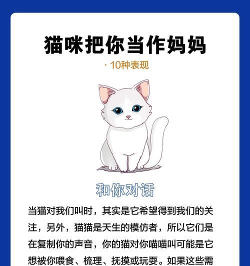 母亲节送猫咪文案怎么写？（《猫步轻扬，母恩如春》）