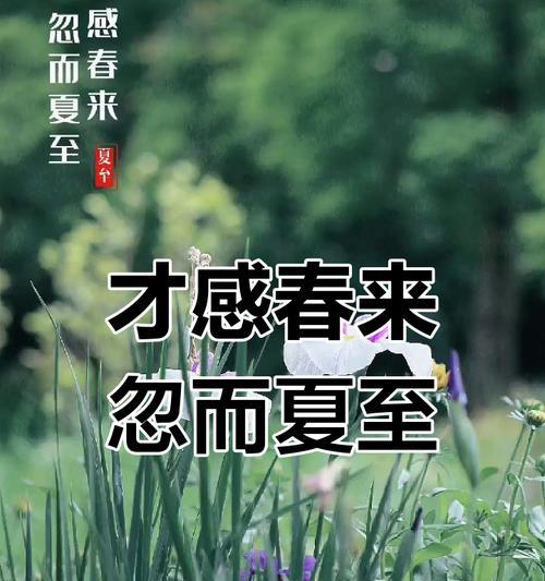 春去夏至什么意思（《春归何处，夏至未央》）