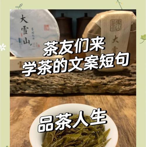 小满泡茶文案怎么写？（《茶香小满，雅韵四溢》）