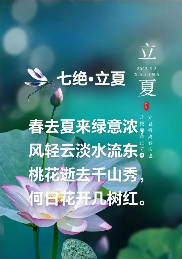 立夏发朋友圈用什么句子好？（《立夏时分，幽兰吐馥》）