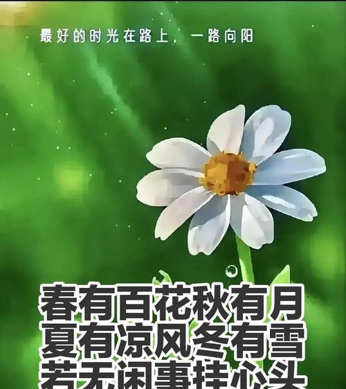 有关小满晴日暖风句子的句子怎么写（《小满晴日暖风语，古韵今风绘新篇》）