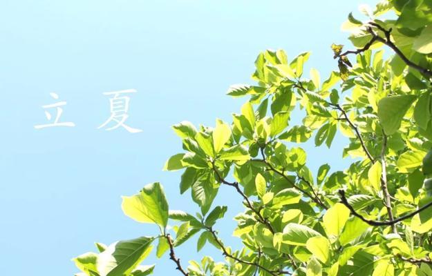 立夏说说——春夏交界的美丽