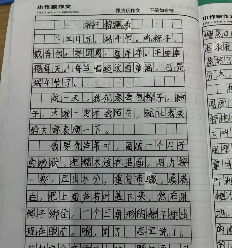 端午节的亲子感言怎么写（《端午情深——粽子与祖辈的回忆》）