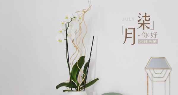 探寻六月的美好，感受自然的魅力（探寻六月的美好）