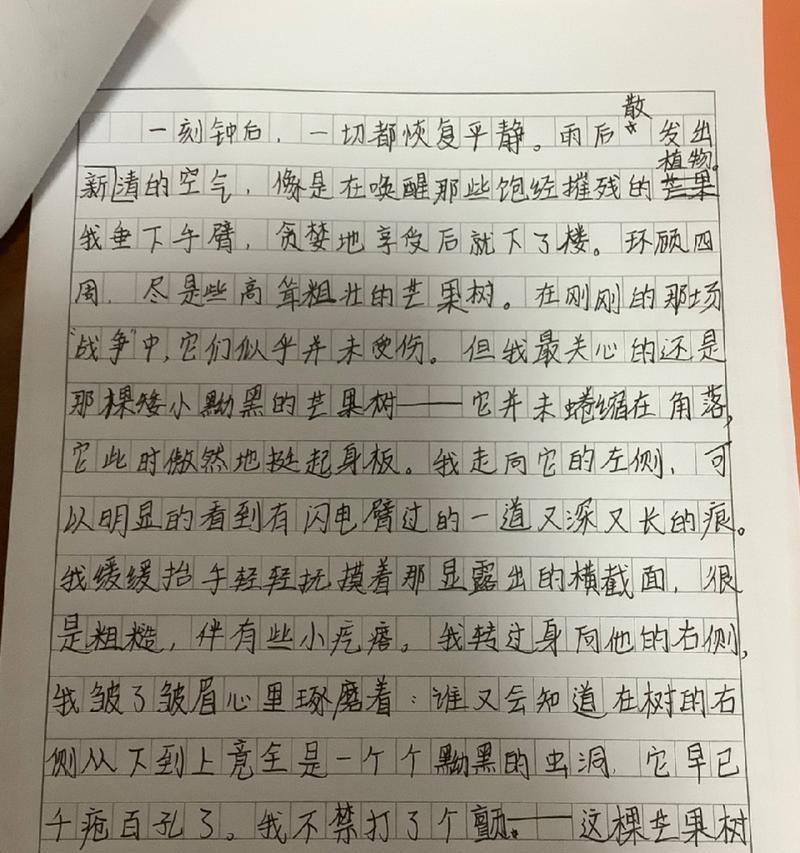 有关芒种的作文800字（《芒种时节，青春的脚步》）