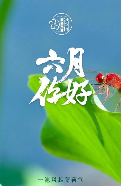 六月之美（沐浴阳光）