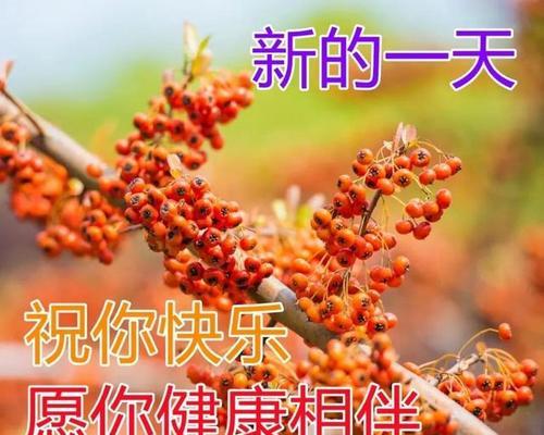 温暖2024元旦祝福传递不停歇（25句唯美短语）