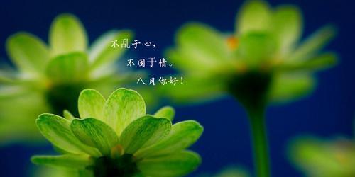 美好八月，奏响生命之歌（探寻人与自然之间的和谐）