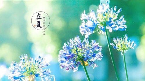 立夏的唯美经典句子——迎接骄阳似火的季节