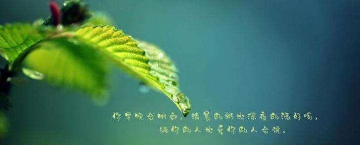 爱情的玩笑，2024的愚人节（唯美短句）