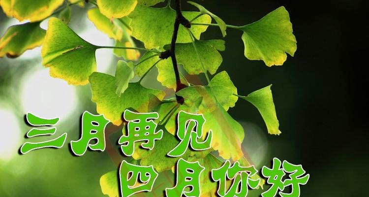 祝福，是一份最美丽的礼物（祝福）
