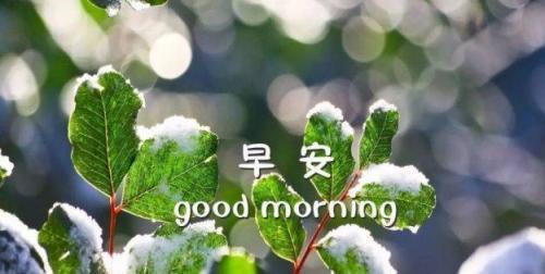 以你好六月为寄语，祝愿明天更美好（25个唯美短句）
